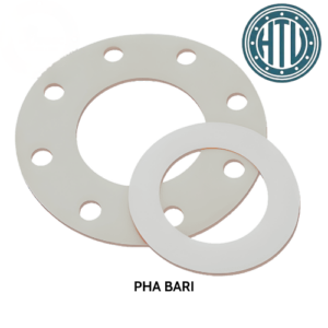 VÒNG ĐỆM PTFE PHA BARI